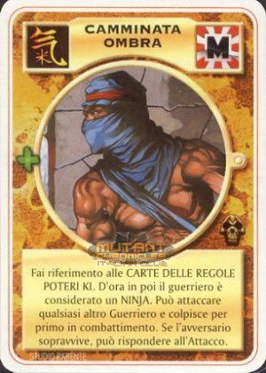 CAMMINATA OMBRA
