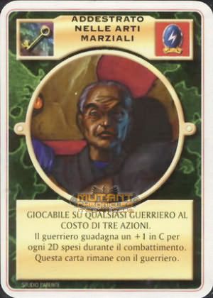 ADDESTRATO NELLE ARTI MARZIALI