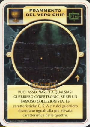 FRAMMENTO DEL VERO CHIP