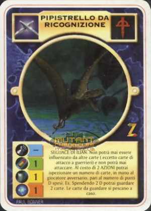 PIPISTRELLO DA RICOGNIZIONE